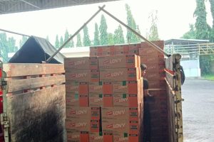 Pengiriman Tujuan Demak