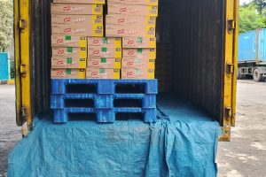 Pengiriman Tujuan Garut