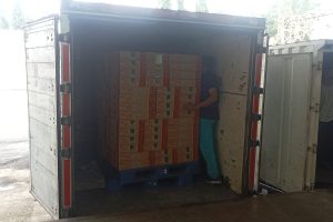 Pengiriman Tujuan Madiun