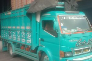 Pengiriman Tujuan Kalimantan