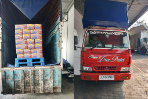 Pengiriman Tujuan Lampung